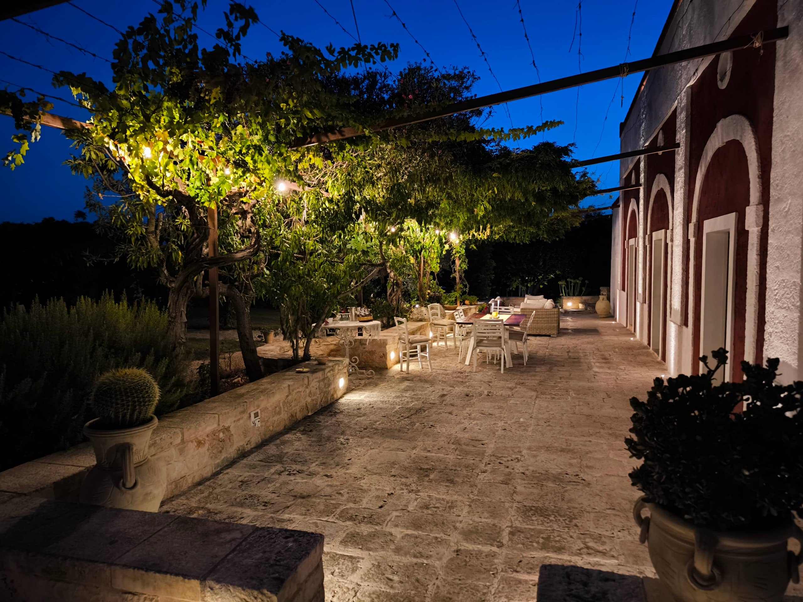 The vine pergola lit up at nightfall